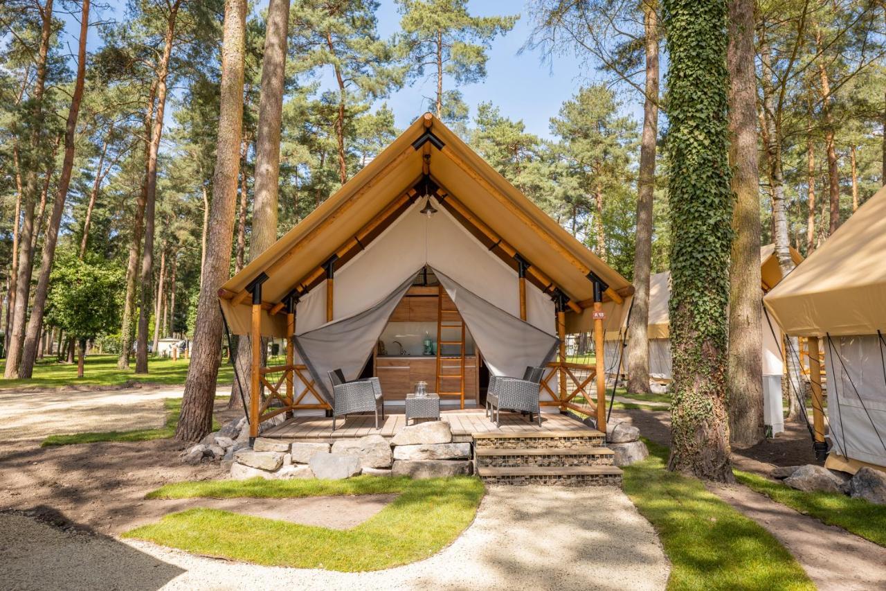 Europarcs Hoge Kempen Zutendaal Værelse billede