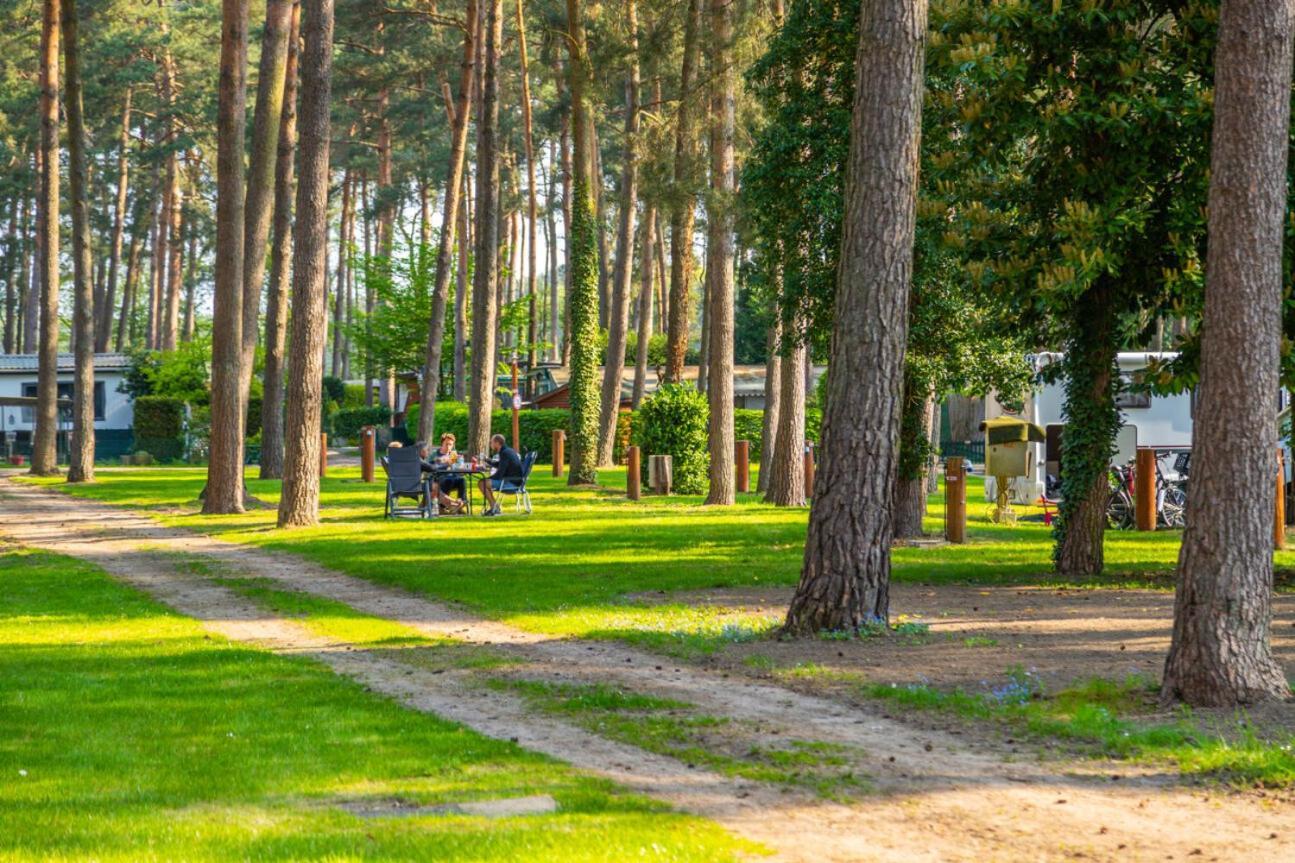 Europarcs Hoge Kempen Zutendaal Eksteriør billede